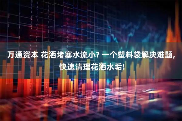 万通资本 花洒堵塞水流小? 一个塑料袋解决难题, 快速清理花洒水垢!